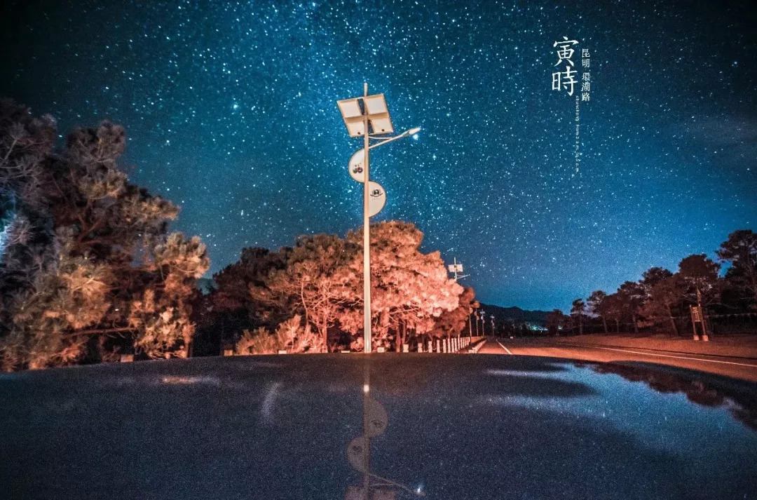 云南奇葩,云南奇葩视频