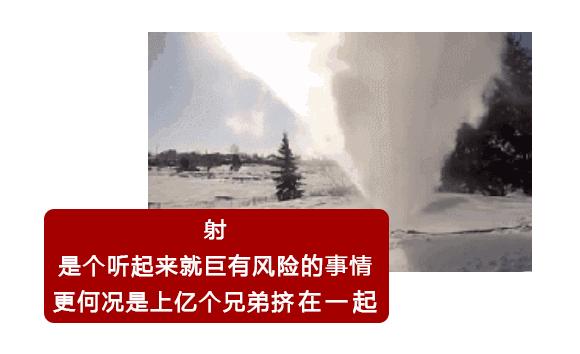 一直以为自己是跑得最快的那颗精子，原来并不是……