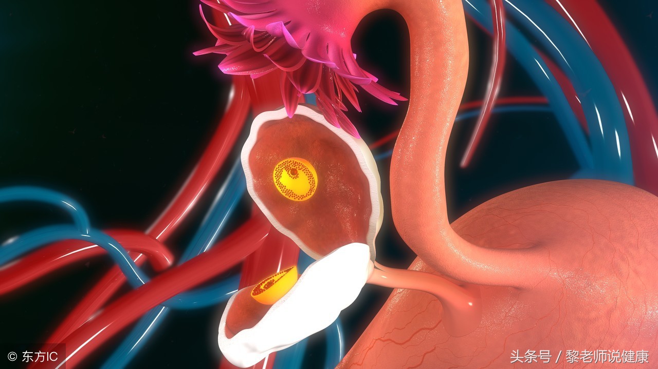 子宫卵巢异常,这5种病变随之而来,这3个方法养子宫卵巢,抗衰老