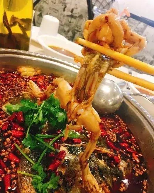 据说科华路的温度全成都最高！因为……