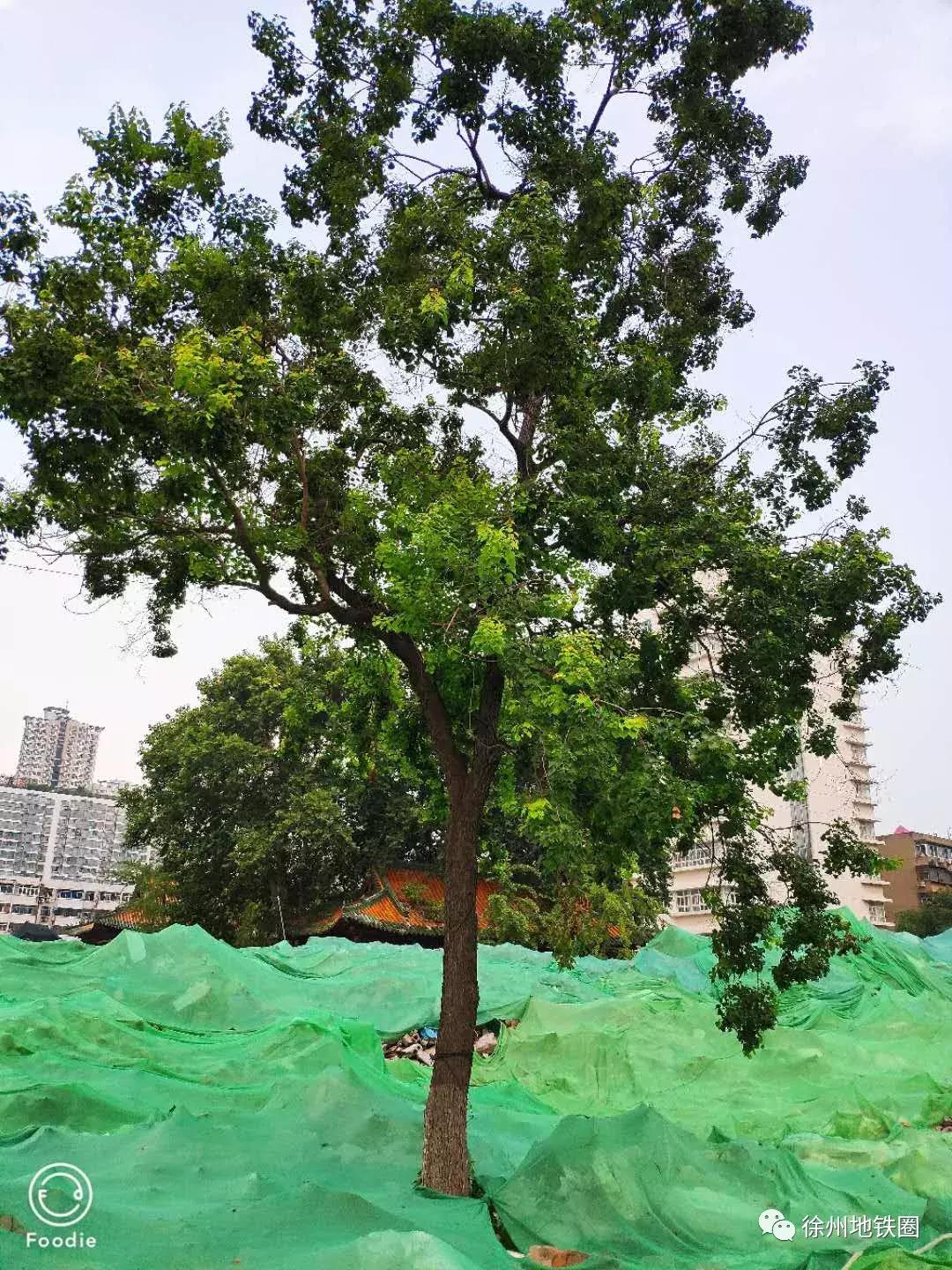 徐州二中变“停车场”！还有哪些回忆留下来？