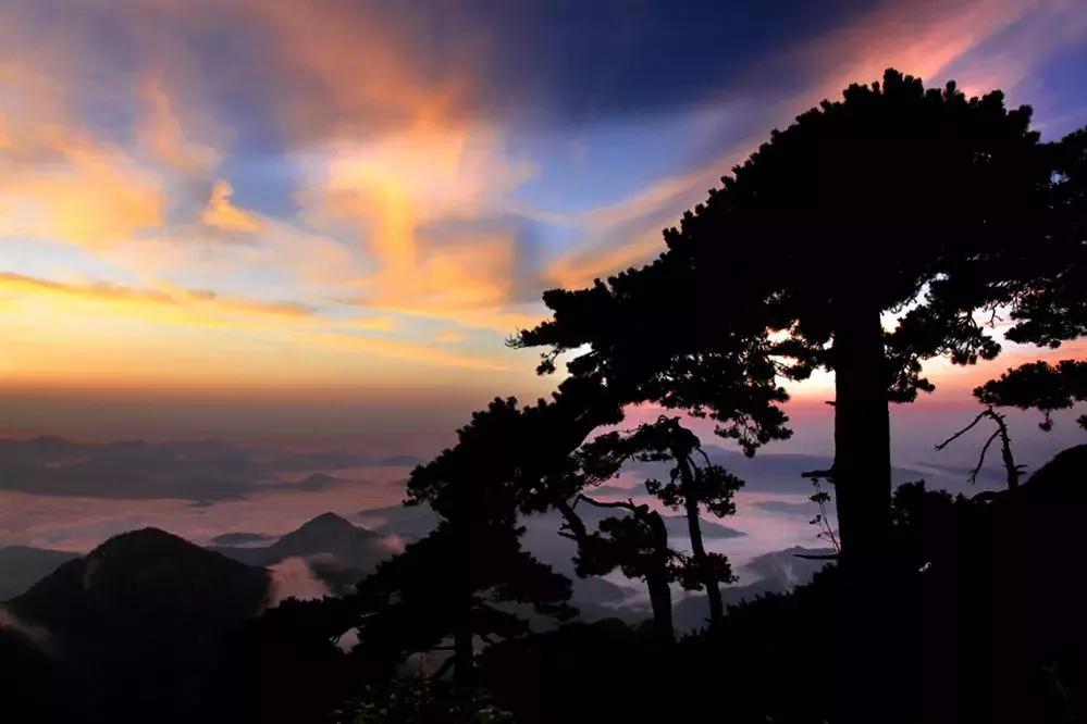 全套摄影口诀完整版,摄影美姿技巧口诀