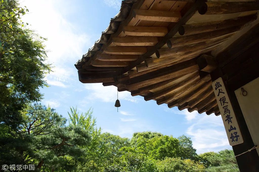 立秋暑去凉来一叶知秋,立秋暑气渐敛一叶知秋