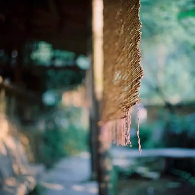 立秋暑去凉来一叶知秋,立秋暑气渐敛一叶知秋