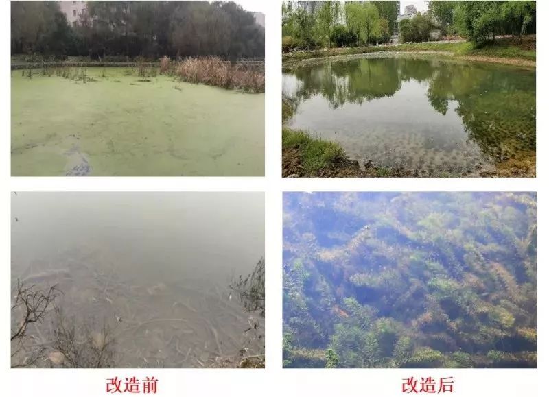 终于等到你的另一种表达,终于等到你内在的含义