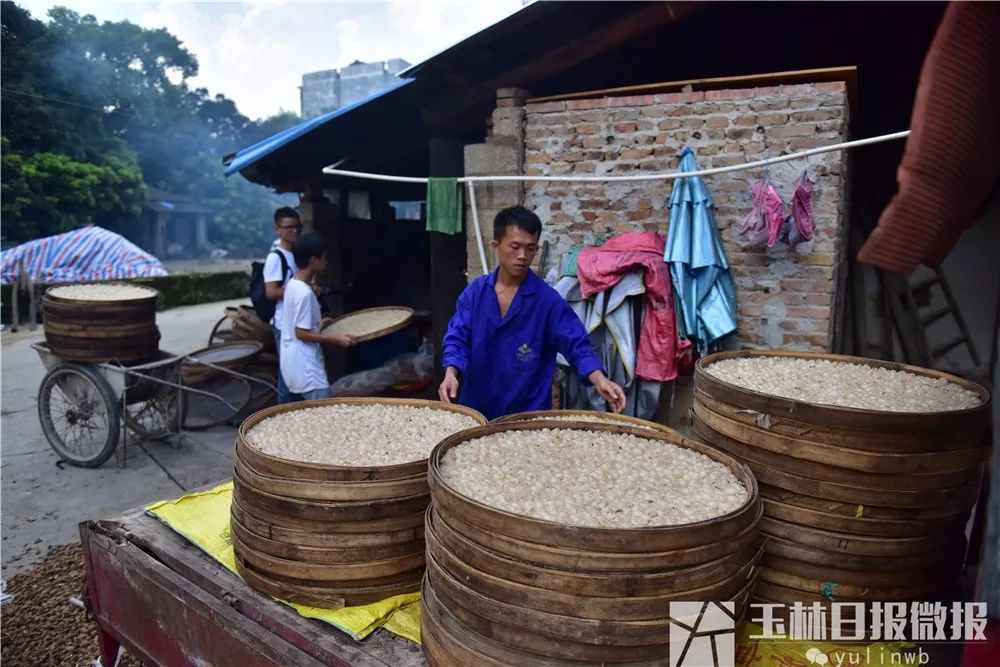 鐜夋灄鍦扮悊鏍囧織璇佹槑鍟嗘爣,鐜夋灄棣栦欢鍦扮悊鏍囧織璇佹槑鍟嗘爣