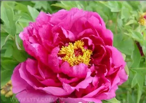 8.8发财日的祝福,8月18日发财日早安祝福图片