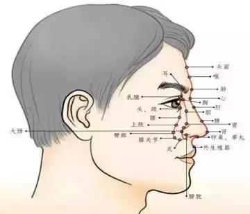面诊、眼诊、鼻诊、耳诊、唇诊、舌诊、齿诊图……都收集齐了！