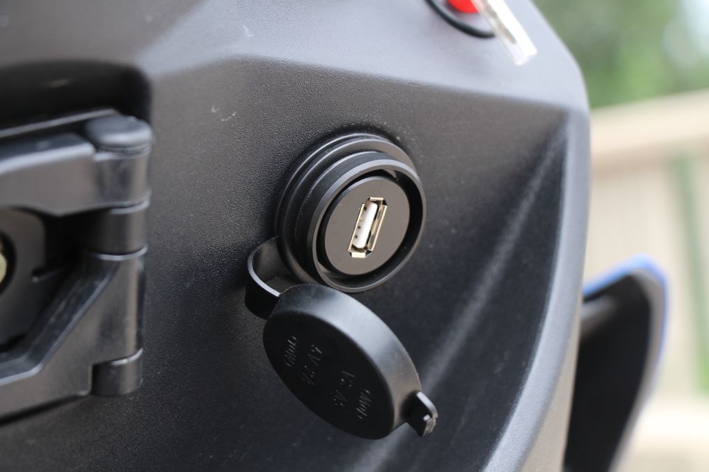 高颜值蚂蚱,漂亮巨型蚂蚱