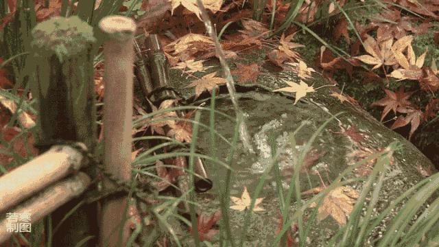 方与圆的智慧阅读,方与圆的智慧书籍