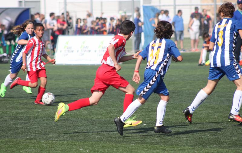 mcc锦标赛项目大全,mcc锦标赛一般多久举办一次