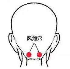 夏天养生保健四大攻略,夏天养生10个最好方法