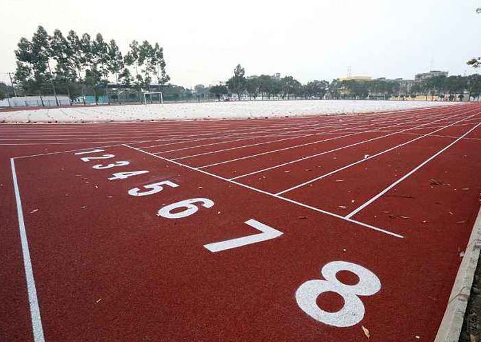 成都开放的体育场有哪些,成都126家体育馆免费开放