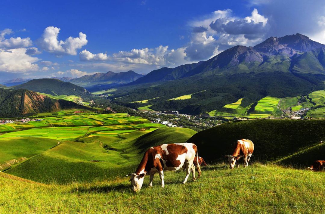 青海最大的价值是生态是谁说的,青海生态的重要性