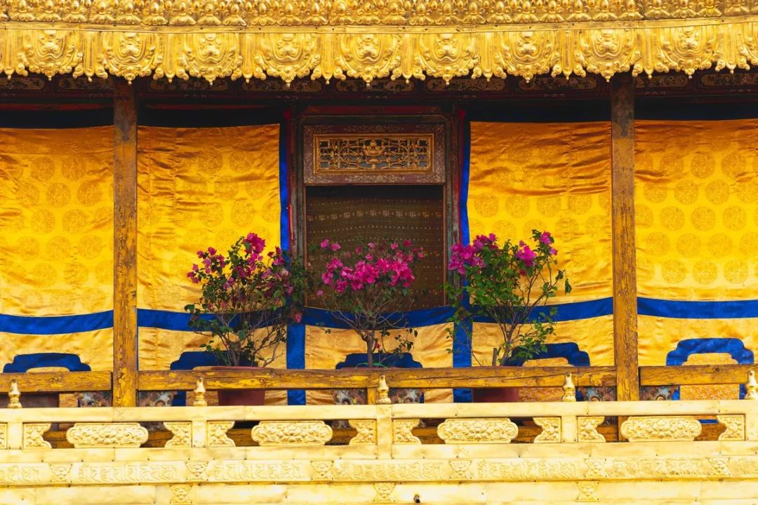 第一次去西藏需要走青藏线吗,第一次去西藏选环线还是阿里