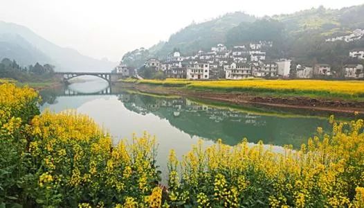 安徽被表扬的城市名单,安徽省政府通告最新