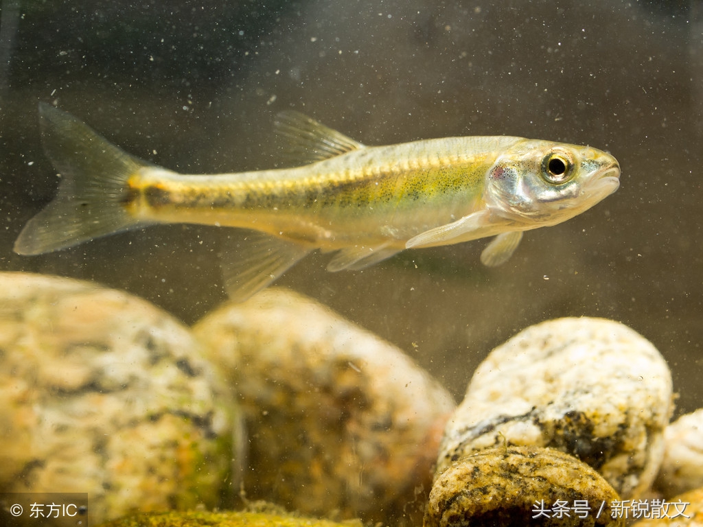 带自己一起去旅行,带着自己去旅行