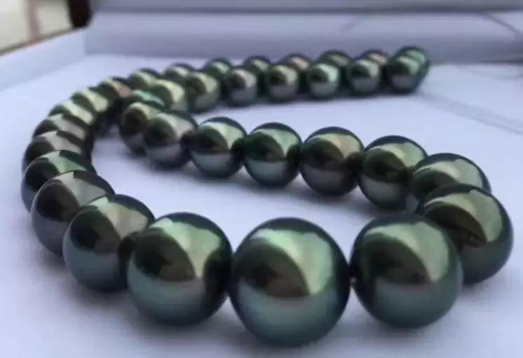 珍珠基础问答,小火说电影全集