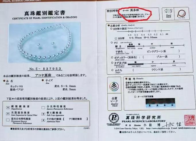 珍珠基础问答,小火说电影全集