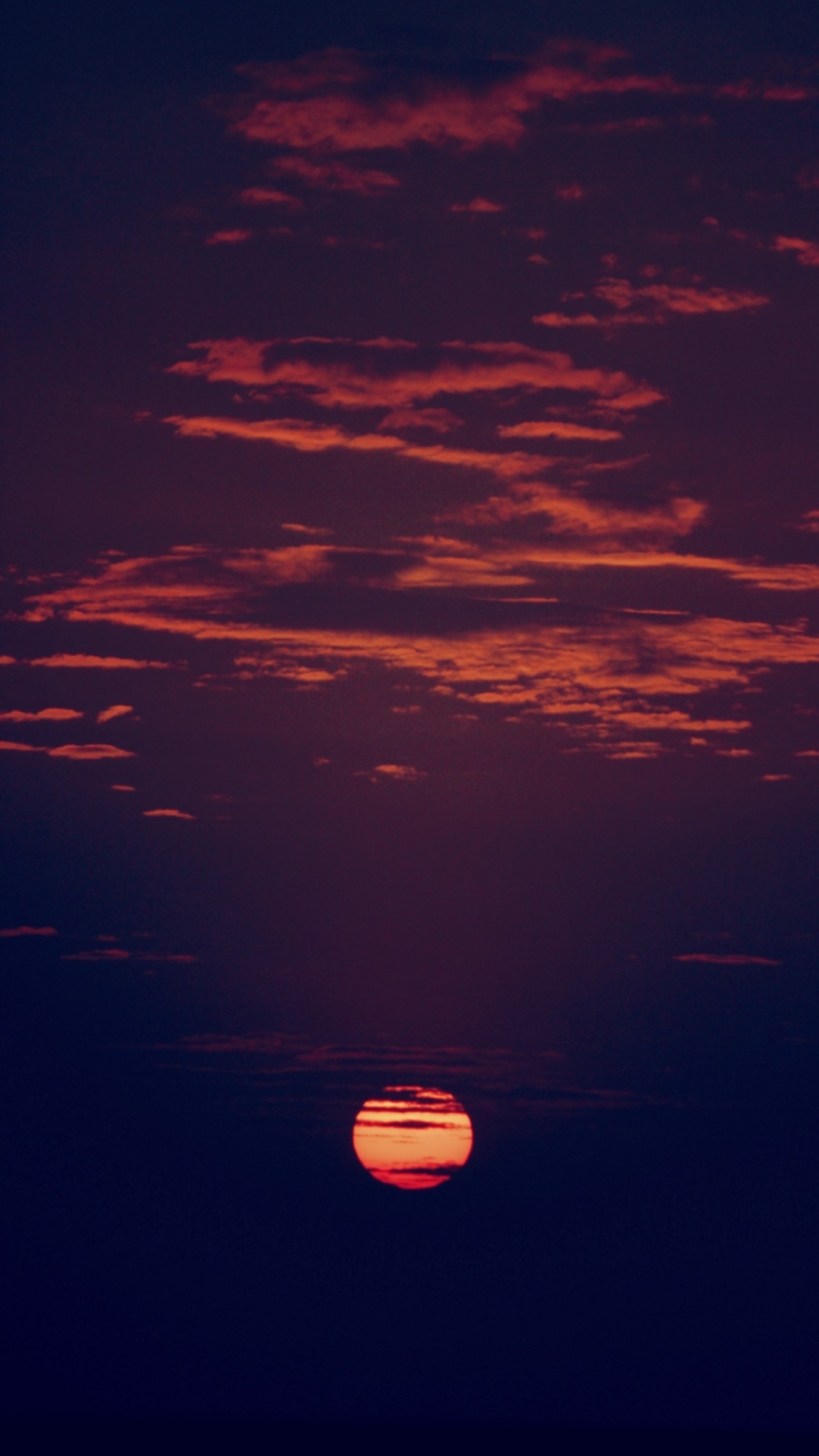 鑷敱琛屽埌楂橀泟鏀荤暐,鍒伴珮闆勬梾琛岃嚜鐢辫鏀荤暐