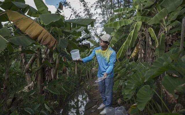 所谓的超声波物理驱蚊器有用吗,激光炮怎么驱蚊最有效