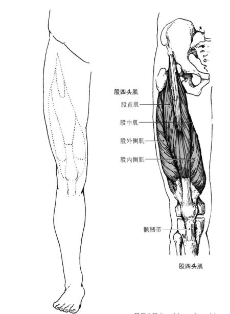 有没有能改善腿粗的动作,专治腿粗的几个方法