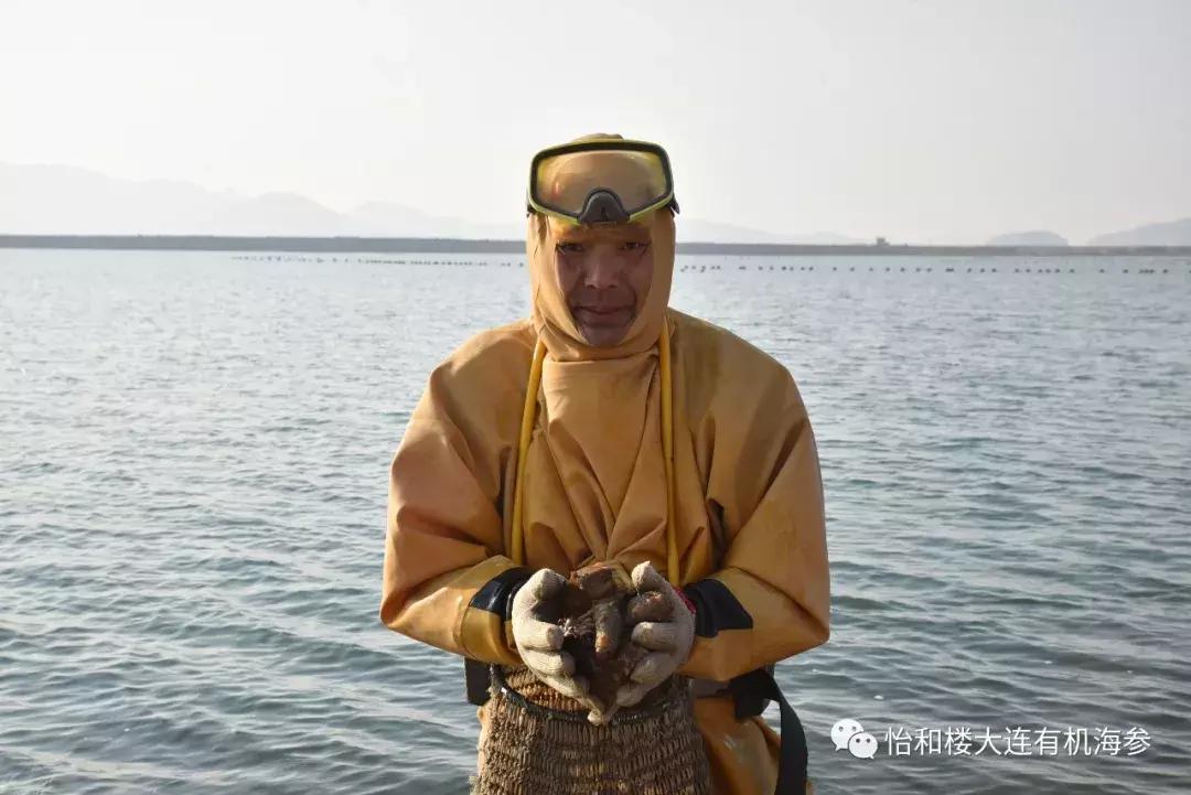 来自一个赌徒的自白,来自一个财税人的自白