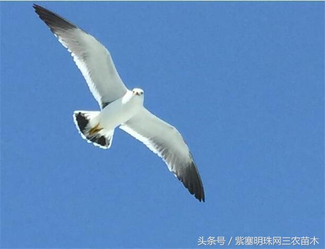 辽宁农家乐旅游攻略,辽宁农家度假村