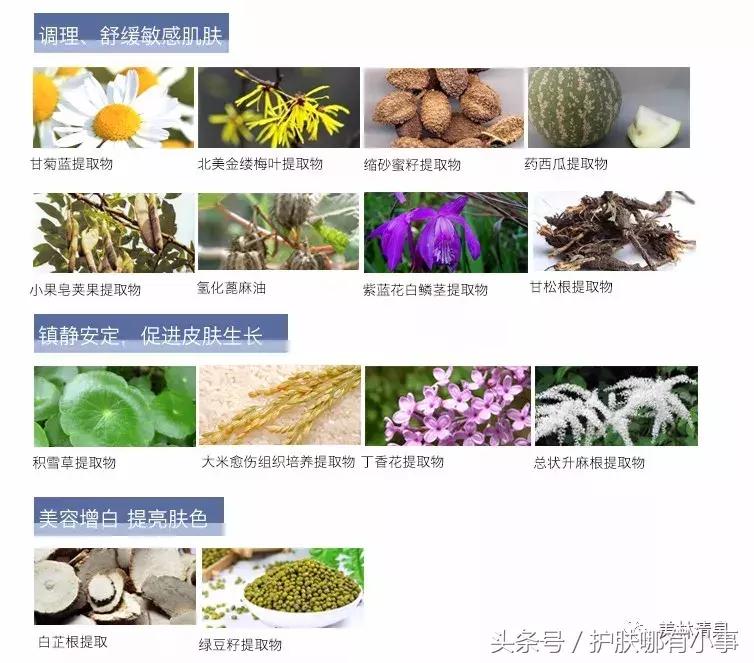 德妃紫苏水中的成分,德妃紫苏水乳到底是保湿还是控油