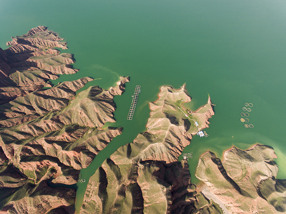 青海坎布拉景区现在开放了吗,青海坎布拉自驾游攻略