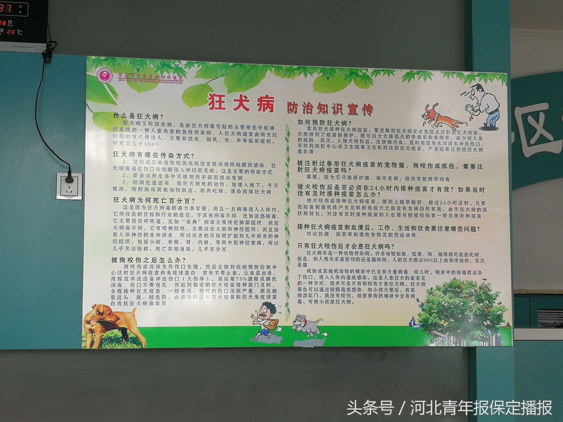 保定接种狂犬病疫苗在哪里,长春长生狂犬疫苗补种方案