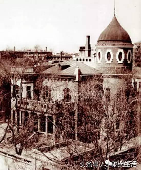 绾㈤湠骞煎効鍥搱灏旀花,鍝堝皵婊ㄧ孩闇炲辜鍎垮洯