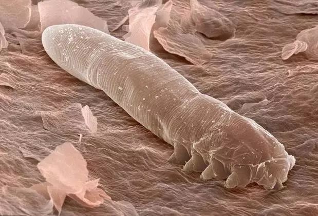 洁面仪luna同款,luna洁面仪平价替代