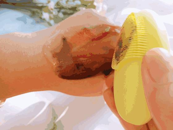 luna洁面仪最新款,亲测好用四款洁面