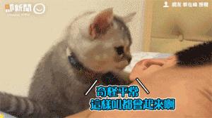 你享受过免费叫醒服务吗,你享受过免费的叫醒服务吗