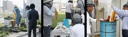 第四消费时代解读日本,日本第四消费时代的解析