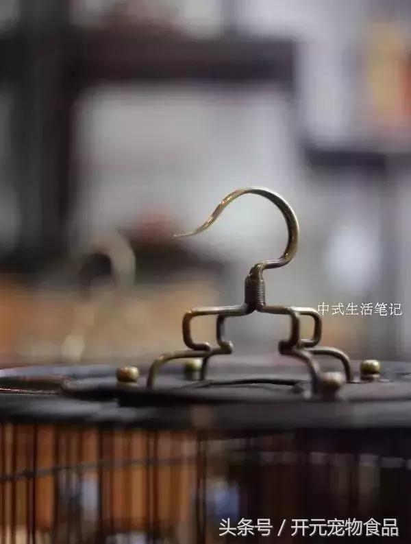 提笼架鸟什么意思,提笼架鸟