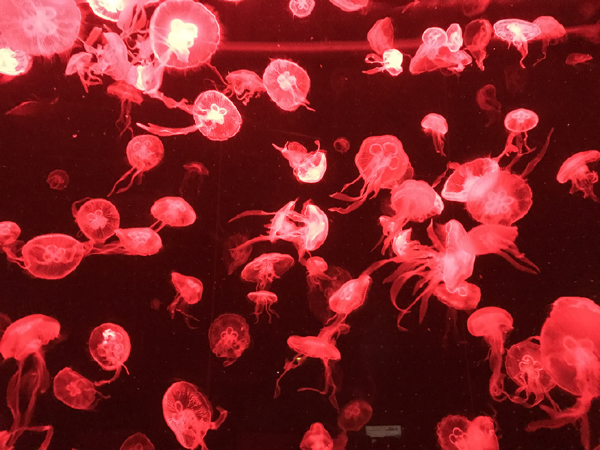 这个夏天带上ta来场浪漫的旅行,带上心爱的ta来一次浪漫之旅