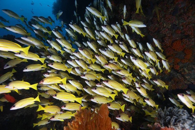 珠海夏日必去海岛,珠海海岛攻略广东最美海岛