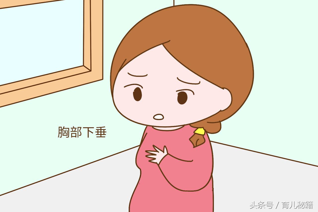 母乳喂养后胸部干瘪下垂怎么办,母乳时间长会造成胸部下垂吗