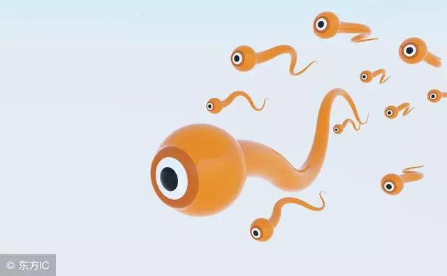 备孕快速怀孕心得分享,备孕成功的最佳经验