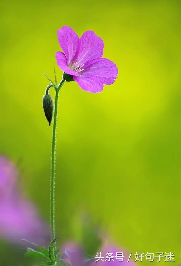 经典语录个性签名人生感悟,简短精辟的个性签名句子精辟走心
