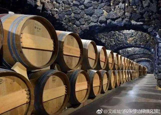 西虹市首富里的酒店是哪个酒店,《西虹市首富》中60万的土豪酒店