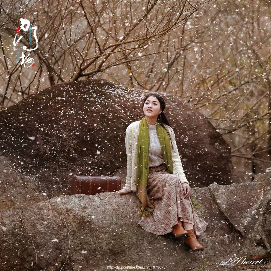 经典散文梦里花落知多少,花落知多少的情感句子摘抄