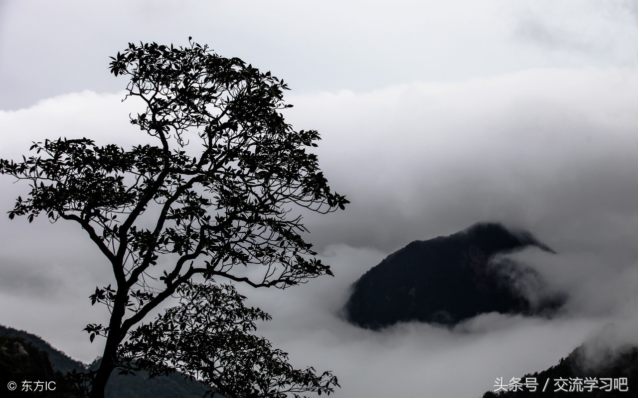 古训经典句子,经典古训完整版