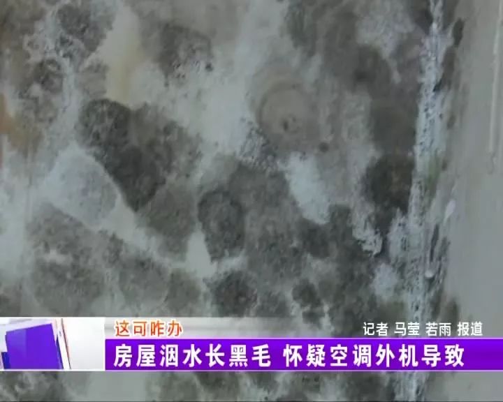 屋里长了白毛是怎么回事,屋里有黑毛是什么原因