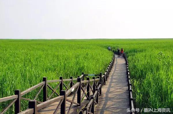 上海地名八级考试，看看你能答到第几级？