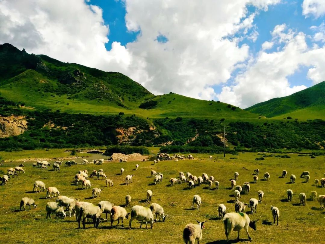 国庆去广州旅游酒店推荐,国庆十天旅游推荐