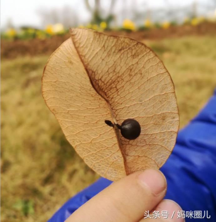 养娃5年，如何让孩子不爱电视，不玩手机？