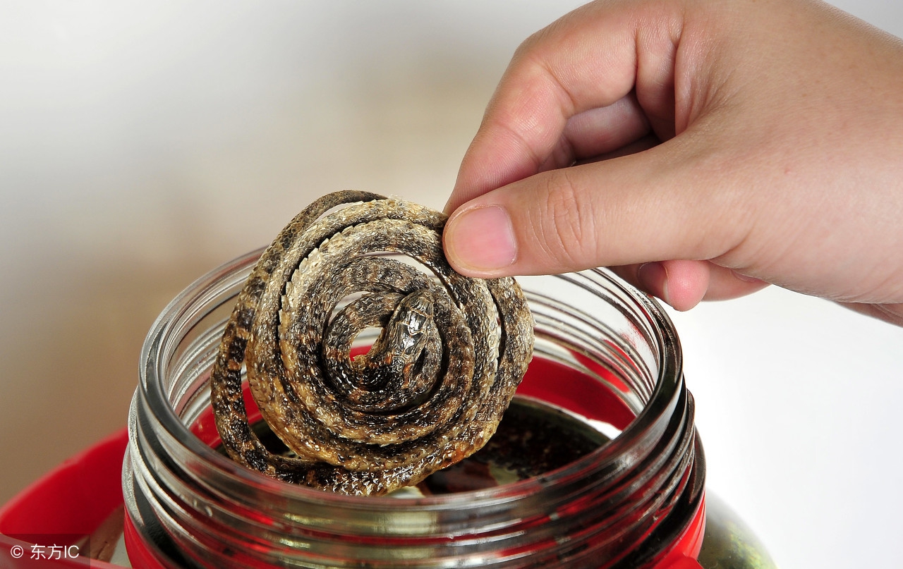 喜欢喝酒的人吃什么护胃护肝,喝酒有讲究养生酒要怎么喝才养生